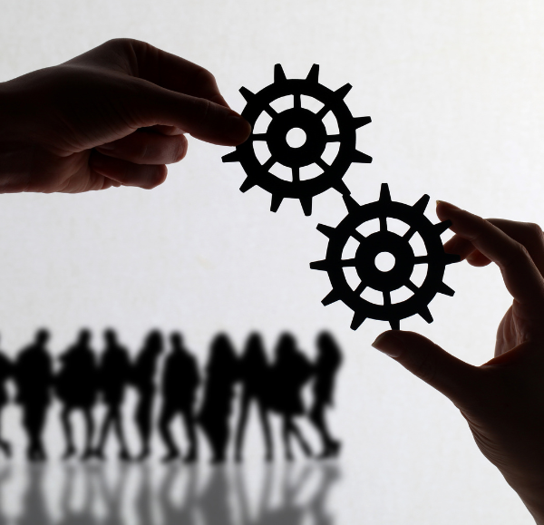 CONSEIL EN ASSURANCE ISLAMIQUE